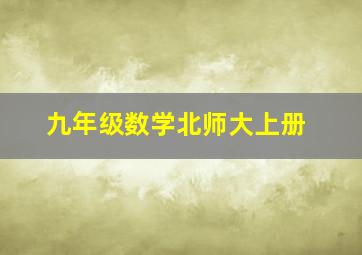 九年级数学北师大上册