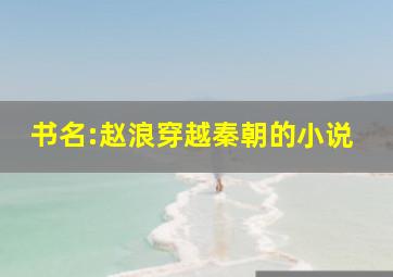 书名:赵浪穿越秦朝的小说