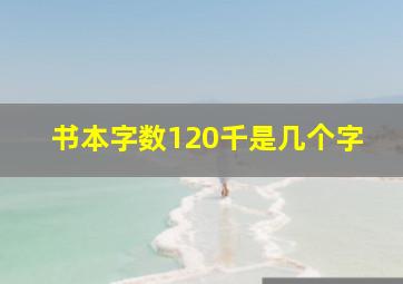 书本字数120千是几个字