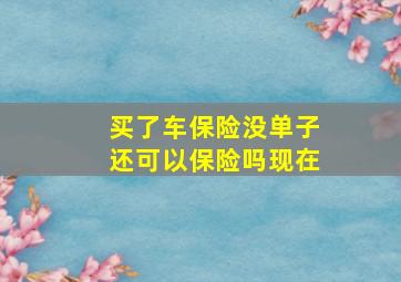 买了车保险没单子还可以保险吗现在