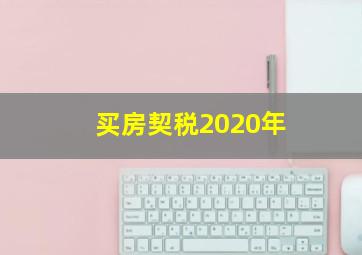 买房契税2020年