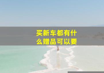 买新车都有什么赠品可以要