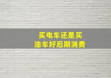 买电车还是买油车好后期消费