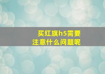 买红旗h5需要注意什么问题呢