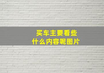 买车主要看些什么内容呢图片