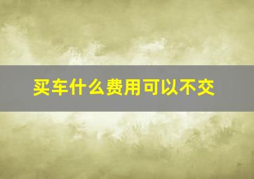 买车什么费用可以不交