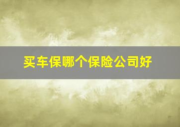 买车保哪个保险公司好