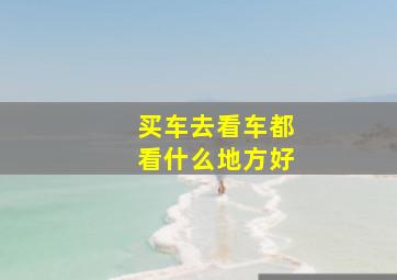 买车去看车都看什么地方好