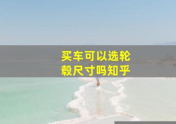 买车可以选轮毂尺寸吗知乎