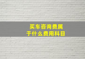 买车咨询费属于什么费用科目