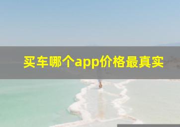 买车哪个app价格最真实