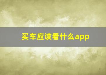 买车应该看什么app