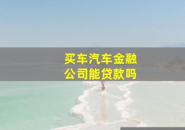 买车汽车金融公司能贷款吗