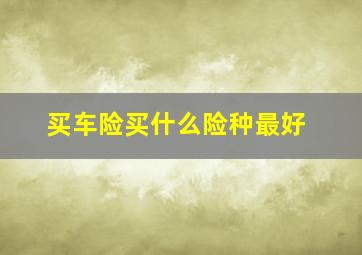 买车险买什么险种最好