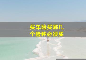 买车险买哪几个险种必须买