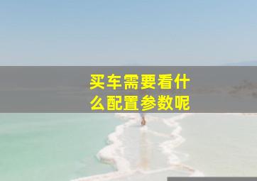 买车需要看什么配置参数呢