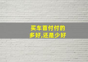 买车首付付的多好,还是少好