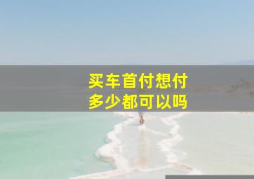 买车首付想付多少都可以吗