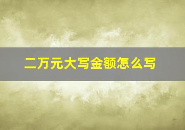 二万元大写金额怎么写