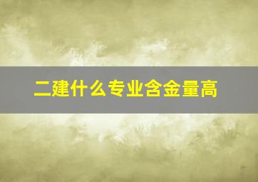 二建什么专业含金量高