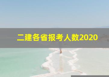 二建各省报考人数2020