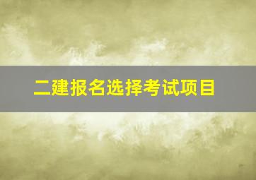 二建报名选择考试项目