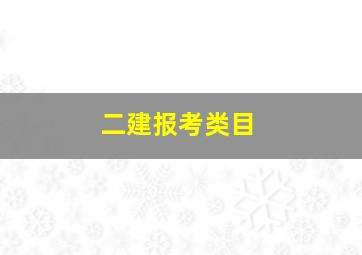 二建报考类目