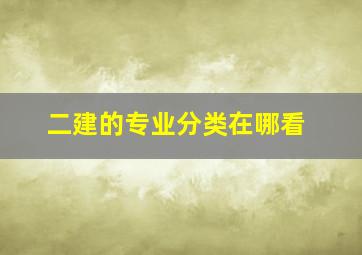 二建的专业分类在哪看