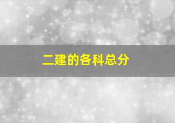 二建的各科总分