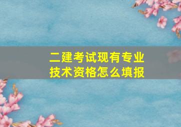 二建考试现有专业技术资格怎么填报