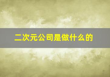 二次元公司是做什么的