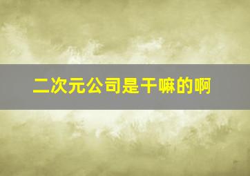 二次元公司是干嘛的啊