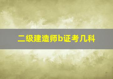 二级建造师b证考几科