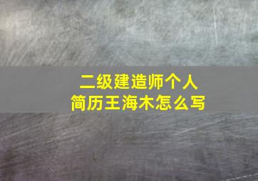 二级建造师个人简历王海木怎么写