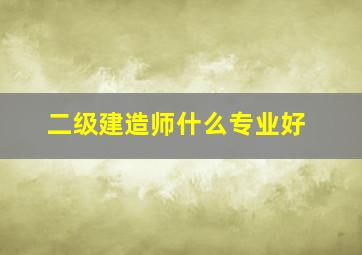 二级建造师什么专业好