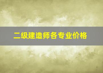 二级建造师各专业价格