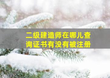 二级建造师在哪儿查询证书有没有被注册