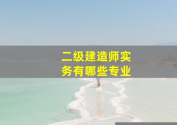 二级建造师实务有哪些专业