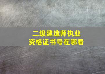 二级建造师执业资格证书号在哪看