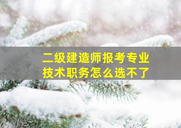 二级建造师报考专业技术职务怎么选不了