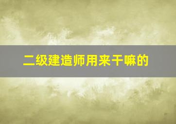 二级建造师用来干嘛的