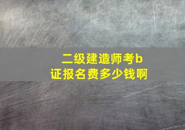 二级建造师考b证报名费多少钱啊