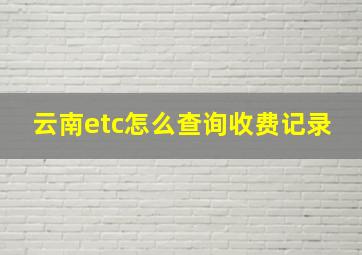 云南etc怎么查询收费记录