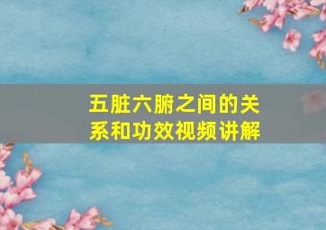 五脏六腑之间的关系和功效视频讲解