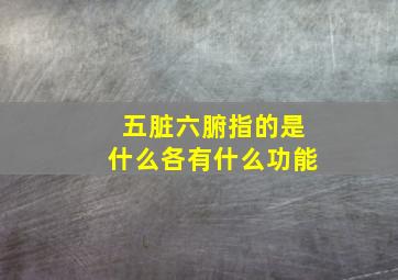 五脏六腑指的是什么各有什么功能