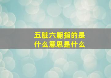 五脏六腑指的是什么意思是什么