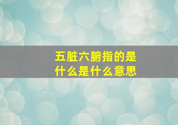 五脏六腑指的是什么是什么意思