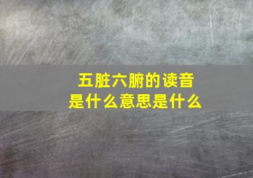 五脏六腑的读音是什么意思是什么