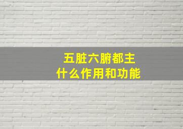 五脏六腑都主什么作用和功能