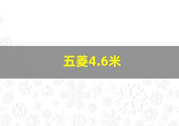 五菱4.6米